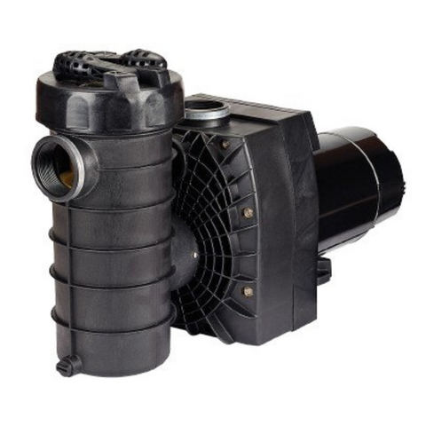 Speck Model 433, Swimming Pool Pump